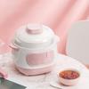 Bird's Nest Mini Electric Stew Pot - Waterproof Ceramic, Health Stew, Small Household Appliance, Gift