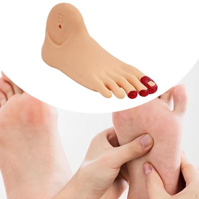 Simulation Model Diabetes Foot Detailed Structure Practice Life Size Nursing