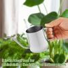 Kleine Gießkanne (350 ml) für Zimmerpflanzen, rostfreier Edelstahl 304 mit ergonomischem Griff