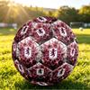 Aston Villa FootballPrinted Size 5 Soccer Ball, Anti Slip Adult Match Football Souvenir for Football Fans