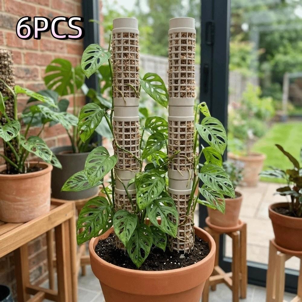 6PCS Interlocking Moss Pole Plastic Vine Fixed Support Frame Plants Growth Stand  Indoor Plants