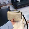 2025 Spring/Summer Women's Trendy Korean Style Straw Woven Crossbody Bag