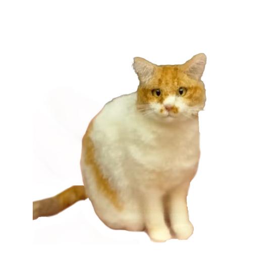 Mini filcből készült gyapjú macska Kézzel készített tűfilc állat figura Különc plüssjáték Kézzel készített filc kiscica Asztali dekoráció