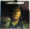 LP Record DAVID CASSIDY  Gold Disc BLPN7 BELL 1974 Japan Obi Rock Used