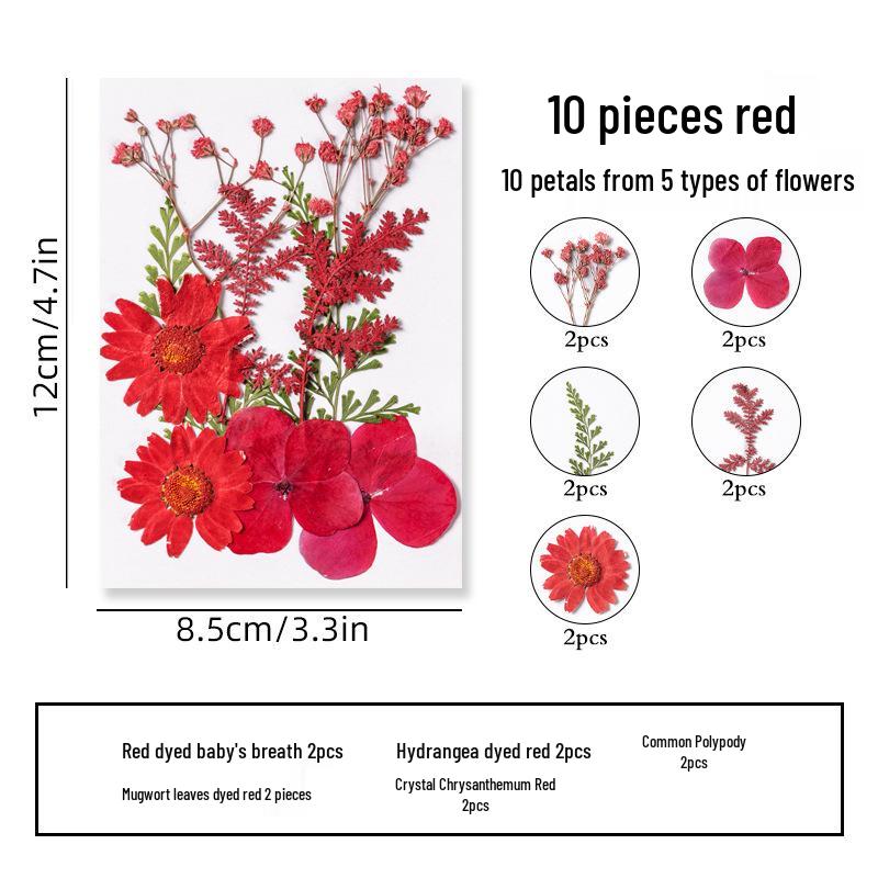DIY Dried Flower Specimen Sticker Set for Kids: Handmade Pressed Flower Frames & Resin Bookmark Craft Kit
