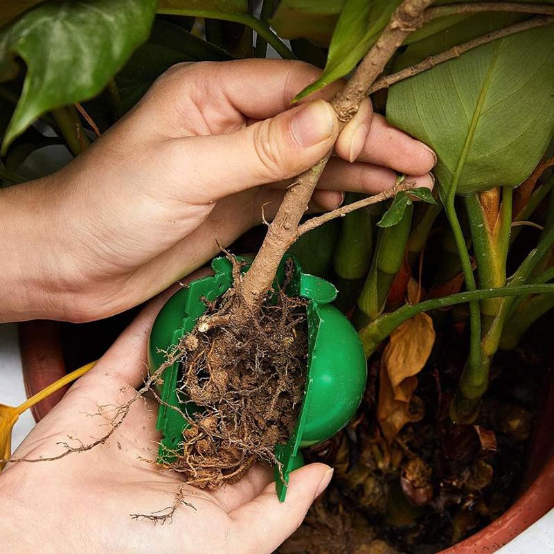 5pcs Plant Root Growing Box Garden Supplies Reusable Grafting Cultivation Tools Household High Pressure Propagation Ball TMZ