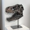 Dinosaurierschädel Ständer Realistisches Skelettmodell Premium Harz Museumsstil Heim Schreibtisch Dekoration Für Männer Geschenk Geburtstag