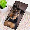 Airedale Terrier Dog Phone Case for Samsung Galaxy Note 10 Pro S26 Ultra S23 S24 FE S25 S21 S22 PLUS Shockproof Cove