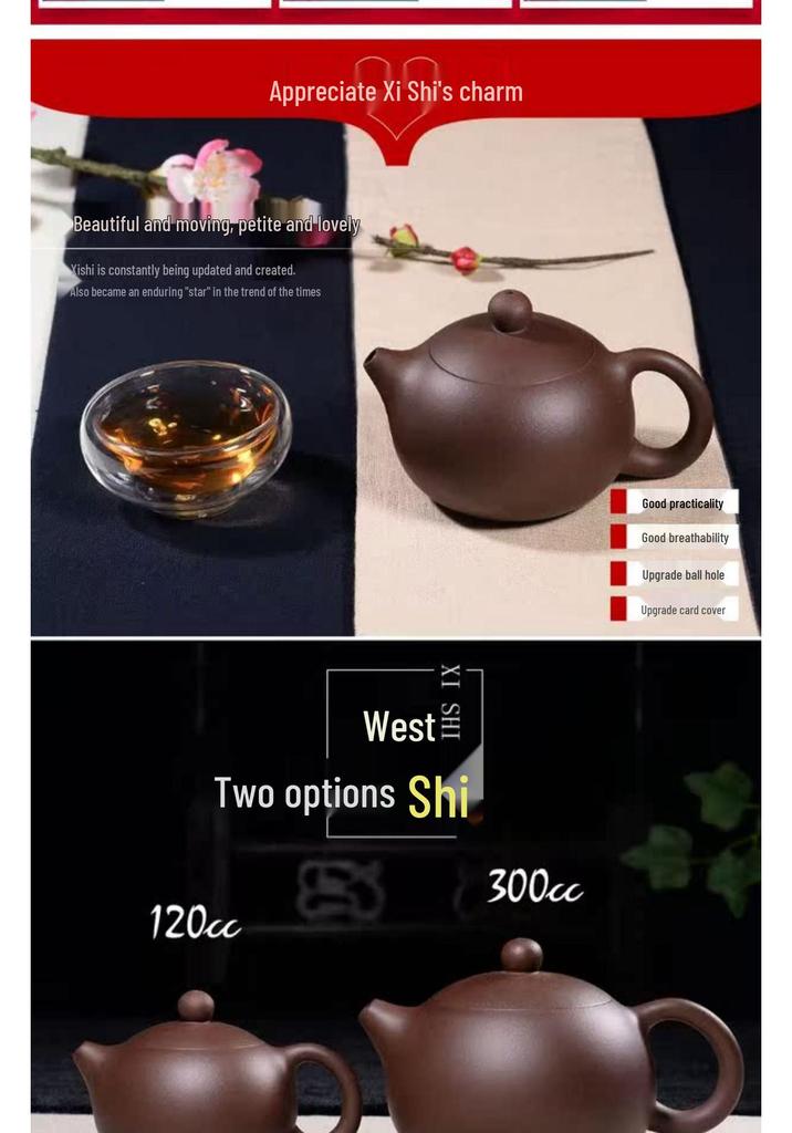 Handmade 120ml Yixing Zisha Xi Shi Teapot for Gongfu Tea