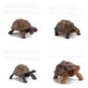 Figurine Statique Modèle Tortue Terrestre en PVC pour Enfants avec Design Réaliste pour Collectionneurs et Enfants