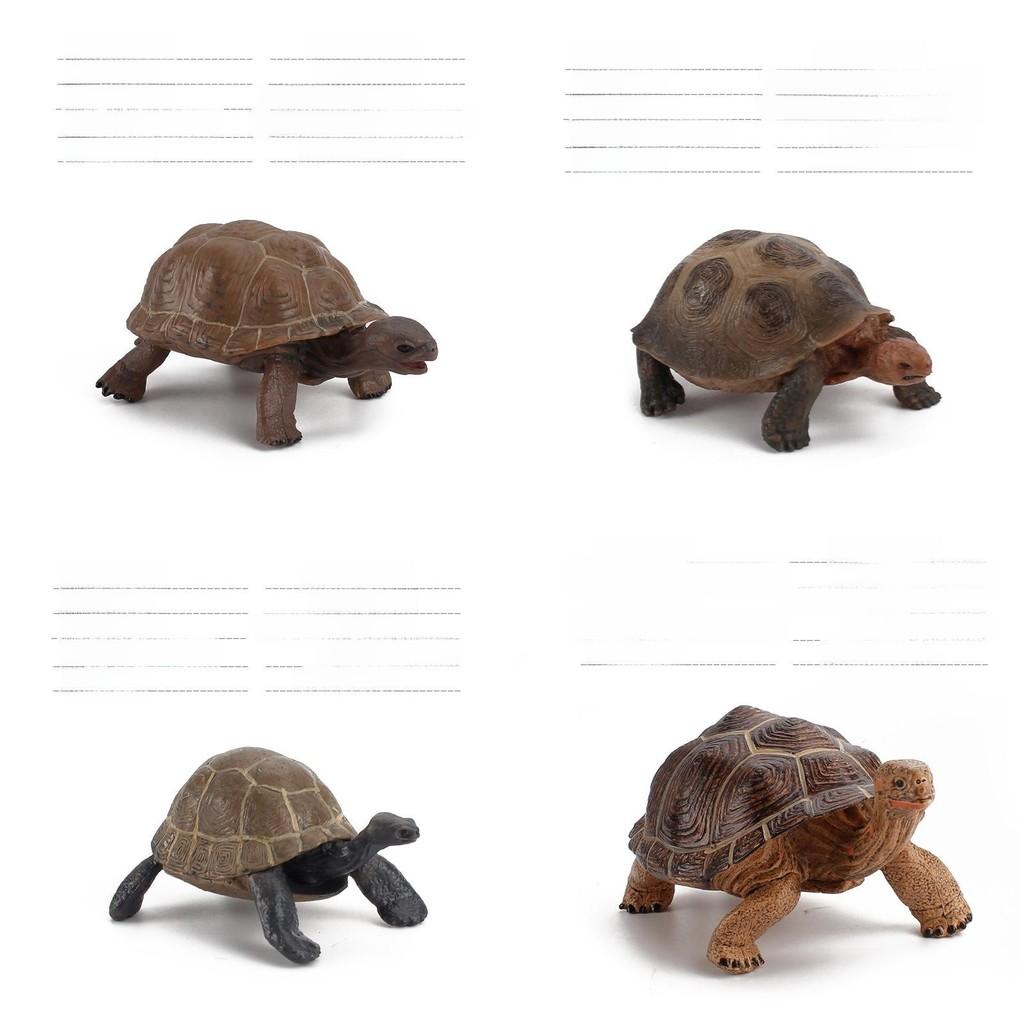 Figurine Statique Modèle Tortue Terrestre en PVC pour Enfants avec Design Réaliste pour Collectionneurs et Enfants