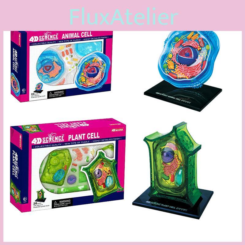 Educational Microscopic Structure Animal And Plant Cell Model 26 Parts Pvc Material School Teaching Display