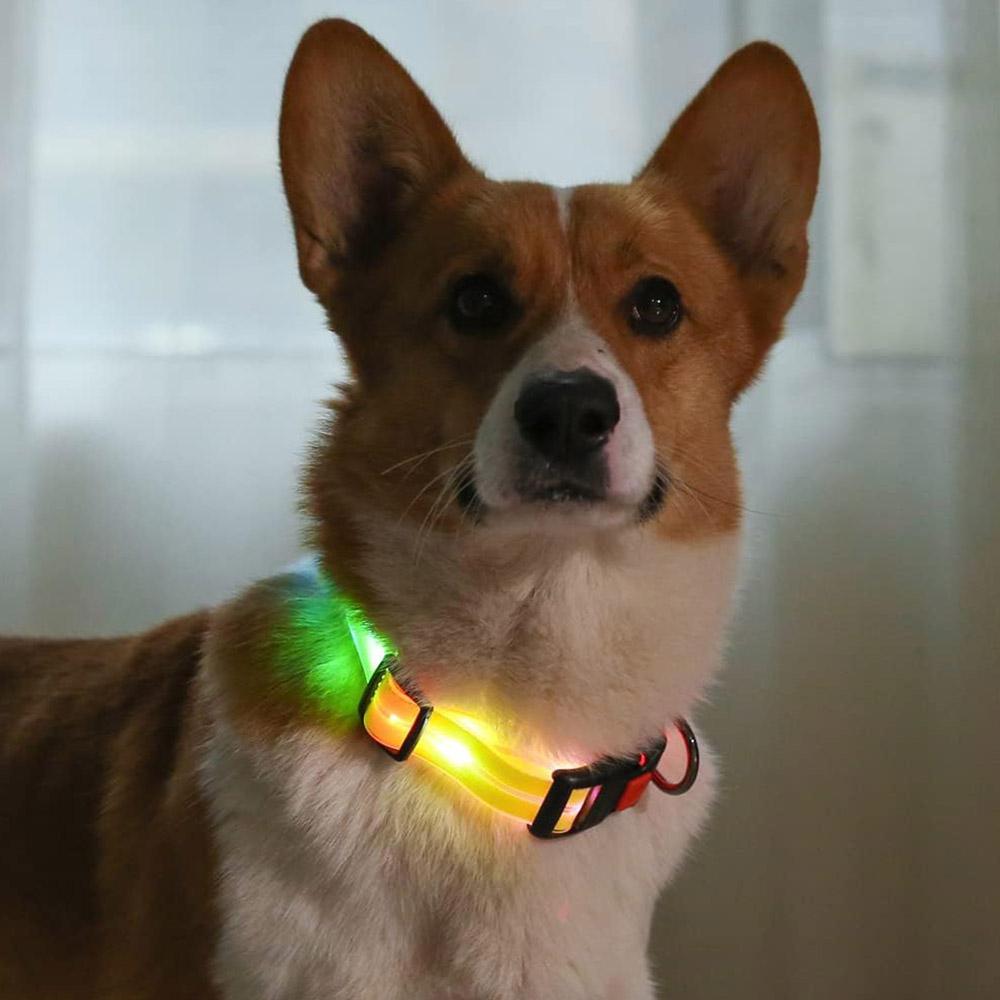 LED svítící nastavitelný obojek pro psa vhodný pro noční procházky, svítící, modrý