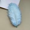 Source Thin Rod Ostrich Hair 20-25Cm High Quality Feather Diy Stage Clothing Accessories Flower Arrangement Material