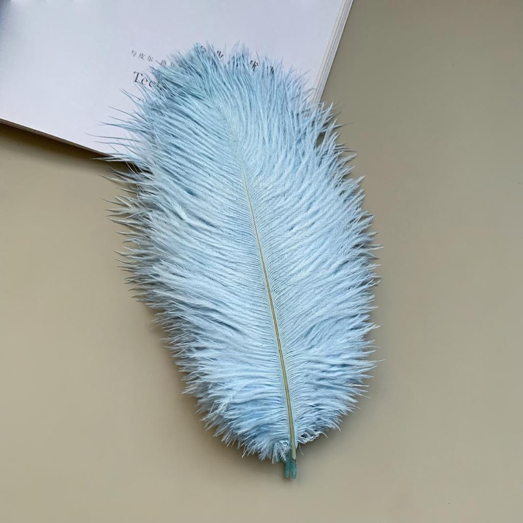 Source Thin Rod Ostrich Hair 20-25Cm High Quality Feather Diy Stage Clothing Accessories Flower Arrangement Material