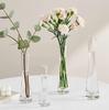 Mini Transparent Glass Test Tube Vase for Fresh Flowers - Desktop Ornament