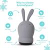 Aromahpure Hunny Bunny Luxury Car Perfume for Dashboard - Lavender Fragrance | Long-Lasting Car Air Freshener, Lasts Up to 30 Days, IFRA certified