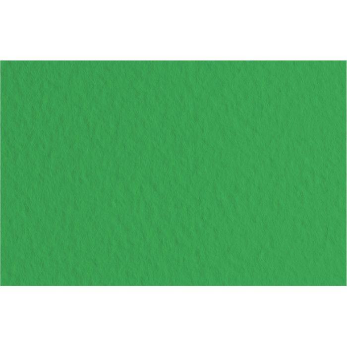 FABRIANO TIZIANO -10 Feuilles 70x100 cm -160 gsm -vert pré 12