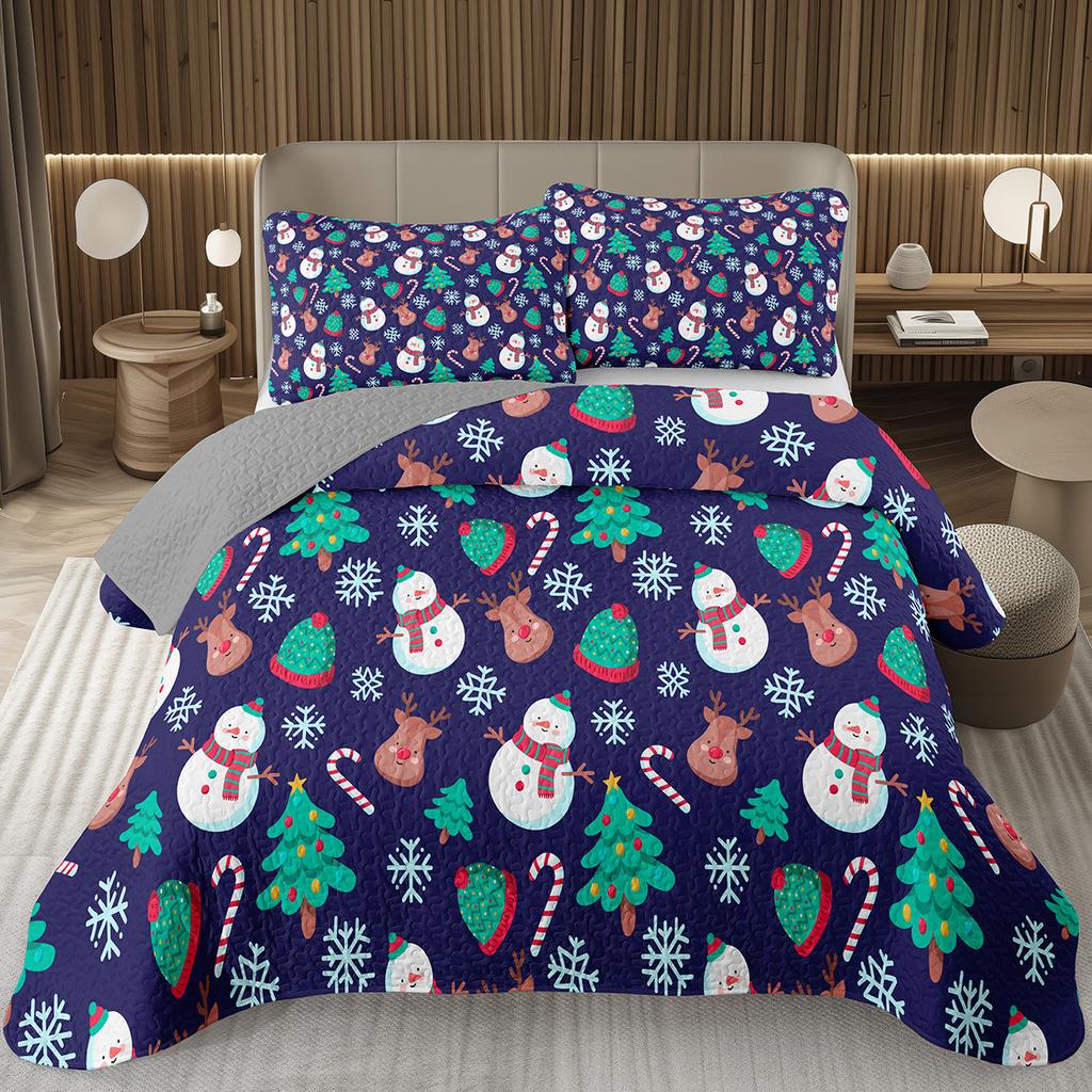 Merry Christmas Coverlet SetLovely Snowman Bedspread Twin Size for Boys Girls Dorm Room Winter Theme Cartoon Style Quilt Set