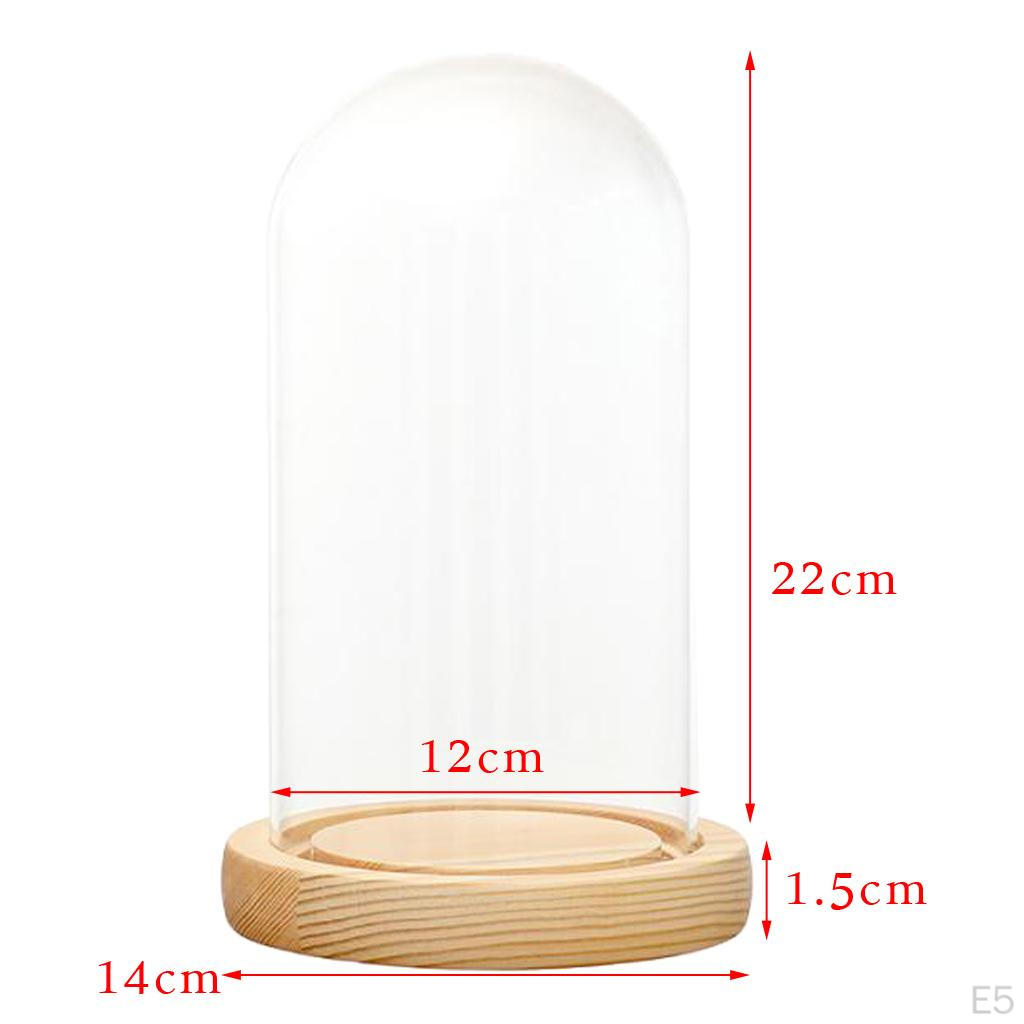 Cloche Tabletop Display Case Jar with Wooden Diy Craft Making Supplies