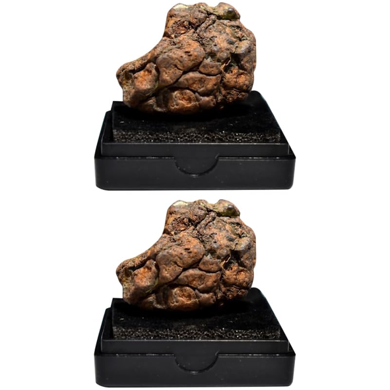 

Healvian Lithosiderite Meteorite Set of Educational Mineral Learning Desktop Gift x x inches Ornament, 2, Specimen, Ornament, Idea, 0.79 0.79 0.39