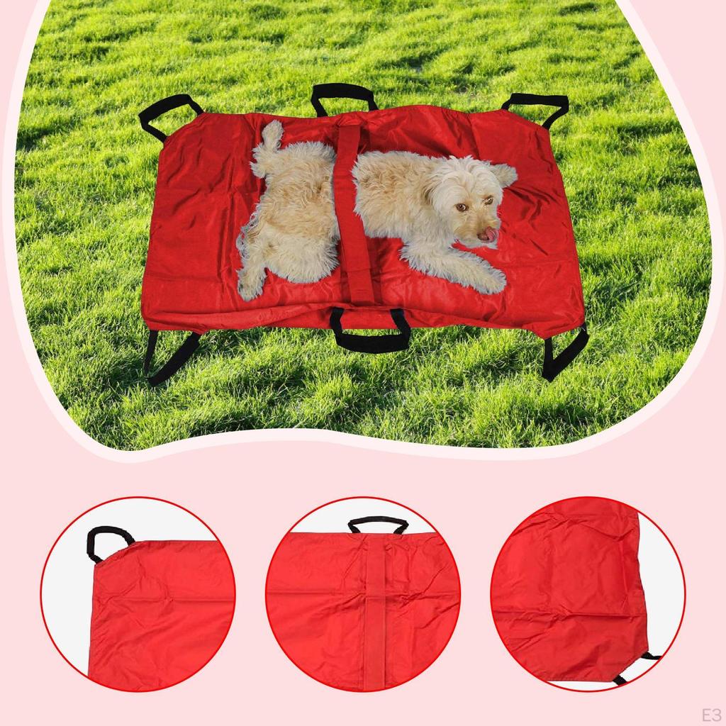 Pet Transport Stretcher Carrier Comfortable Easy To Use Cat Emergency Support for