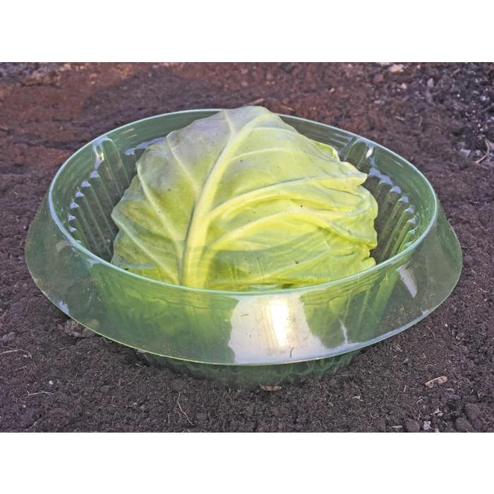 Snail protection ring, set of 5