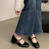 French Evening Breeze Light Mouth Single Shoes Women's Thick Heel 2025 Spring New Korean Version Small Leather Shoes Retro Middle Heel Mary Jane Shoes