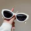 New cat eye sunglasses, European and American fashion Internet celebrity INS style simple avant-garde sunglasses mixed batch