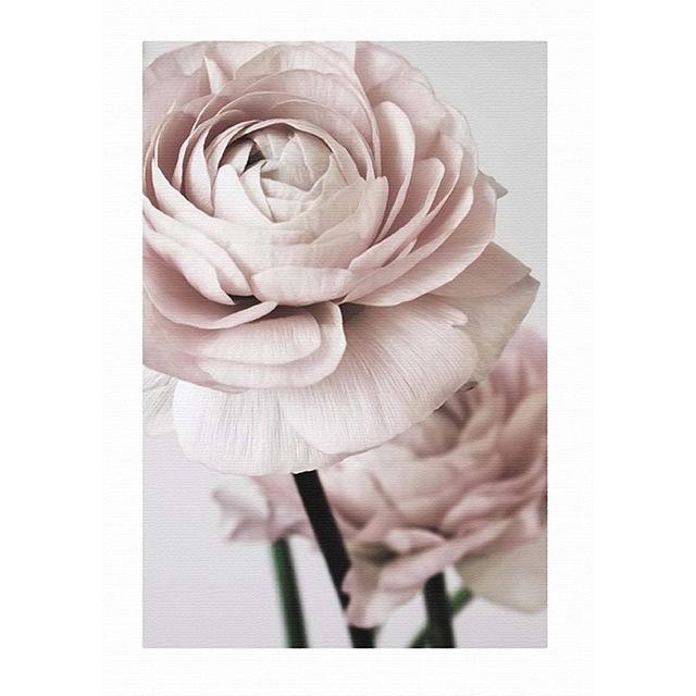 Flower Canvas Picture Wall Decoration Nordic Floral Prints Pink Rose Paintings for Home Design Modern Decoration for Home No Frame