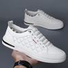 Factory Direct Sales 2025 Autumn New Men's Korean Version Casual Versatile Trendy Shoes Soft Sole Soft Surface Fashion Men's Shoes White Shoes