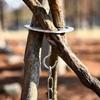 Tragbare Campingausrüstung und -ausstattung Abnehmbares Outdoor-Grillstativ Hängeständer Lagerfeuer-Kochzubehör-Set