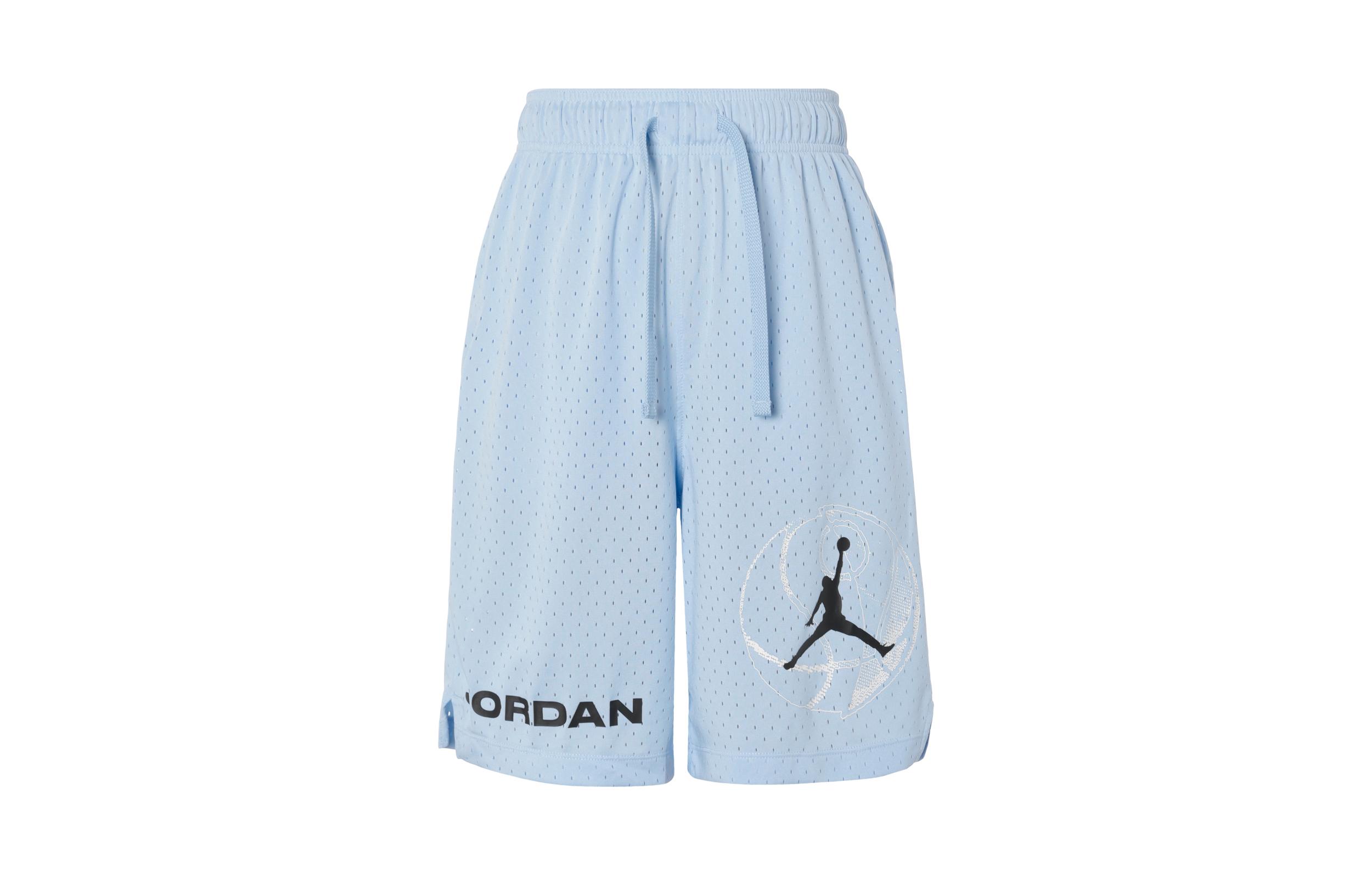 Повседневные шорты Jordan мужские синие DZ4123-425 XL