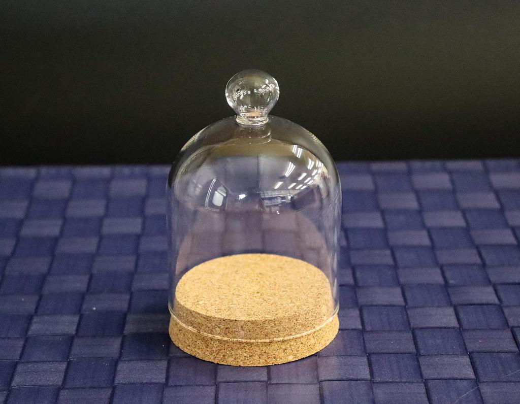 Glass Square with Handle, Glass Dome, Cork, Natural, 6 Pieces