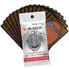 Magic: The Gathering Forgotten Realms Explorer Collector's Booster Japanese Edition Box MTG Trading Card Wizards of the Coast