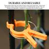 Plastic Garden Plant Support Clips Secure Plants To Supports Quickly and Easily Plant Clips for Avoiding Plant Entanglement