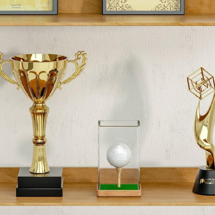 Golf Ball Display Case Storage Box Golf Ball Collector Display Organizer Signature Golf Ball Storage Container