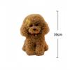Poodle Plush Toys Simulated Dog Stuffed Doll Toys Hobbies Collection Room Decor Toys Kid'S Accompany Toys Birthday Gifts