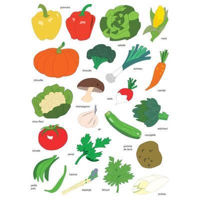 MégaCréa DIY - Vegetable Stickers from 2.5 To 5 Cm 44 Pieces