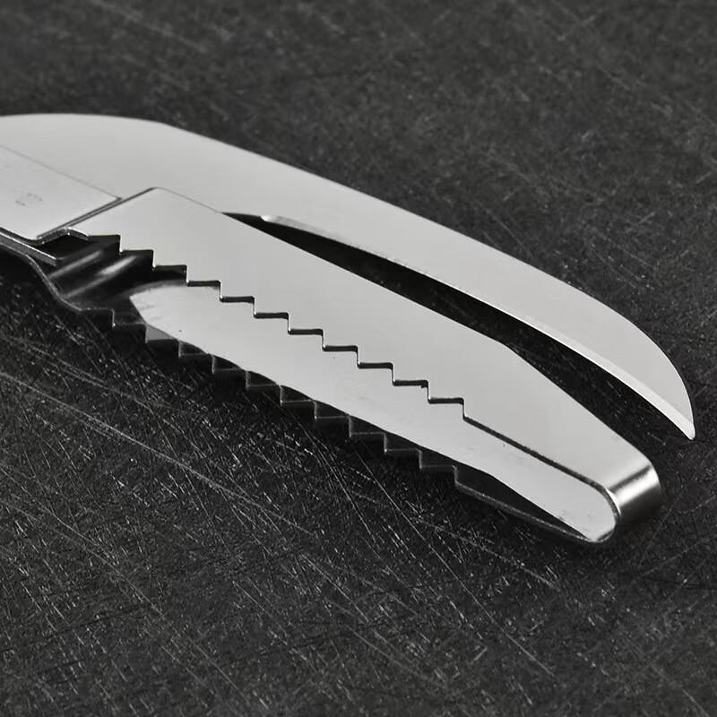 IBOER 2-in-1 Stainless Steel Fish Cleaning Tool