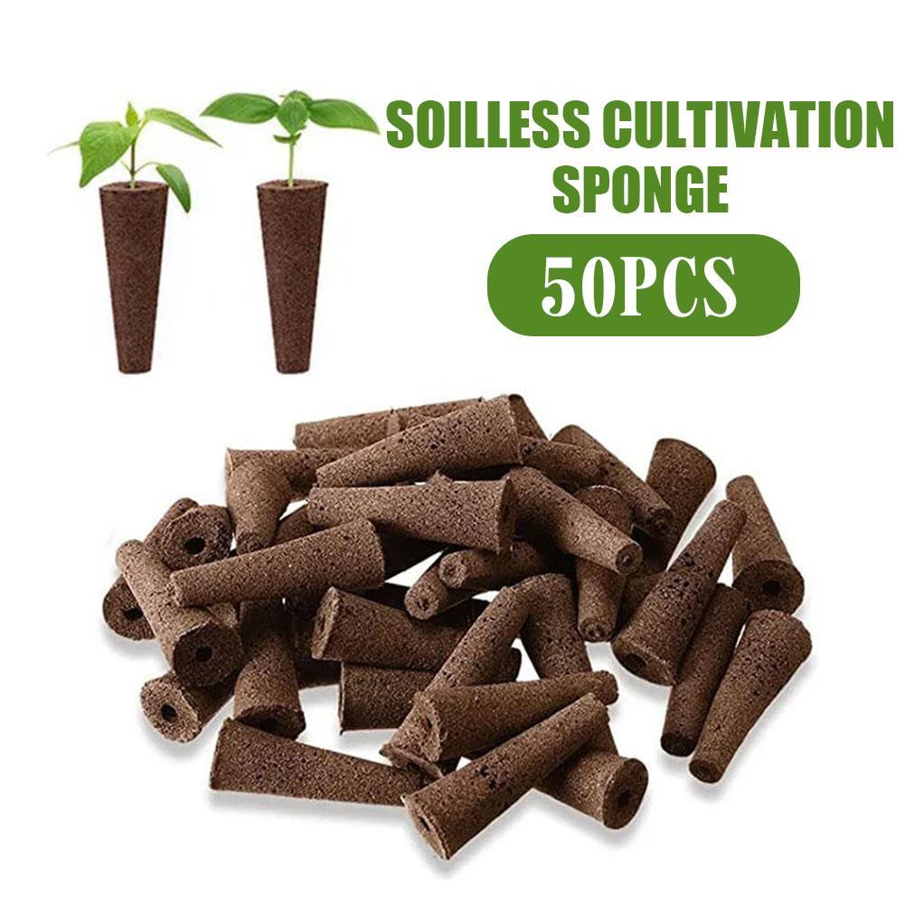 50Pcs Seed Grow Sponges Replacement Root Growth Pods Hydroponic Seedling Starter Plugs For AeroGarden Indoor Garden Planting