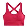Hanging Neck Cross Back Wrap Chest One Piece Underwear Overlay Top Small Strap Tank Top Female External Wear Bra