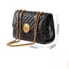 Light Luxury Versatile New Chain Bag for Women, Niche Trendy Fashion Single Shoulder Crossbody Bag, Elegant Evening Bag