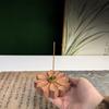 Solid Wood Lotus Nine-Hole Incense Seat Incense Insert/Indoor Sandalwood Agarwood Creative Joss Stick Insert Home Decoration