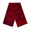Hugo Lettering Midweight Logo Scarf