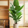 High-End Indoor Bird of Paradise Decor: Luxury Potted Traveler's Palm