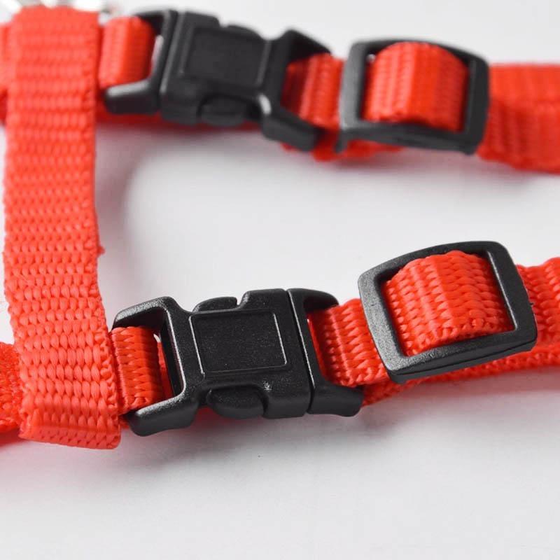 Verstellbarer Haustier-Traktionsgürtel, Katzenhalter, kleines Haustier-Hundegeschirr und Leine-Halsband