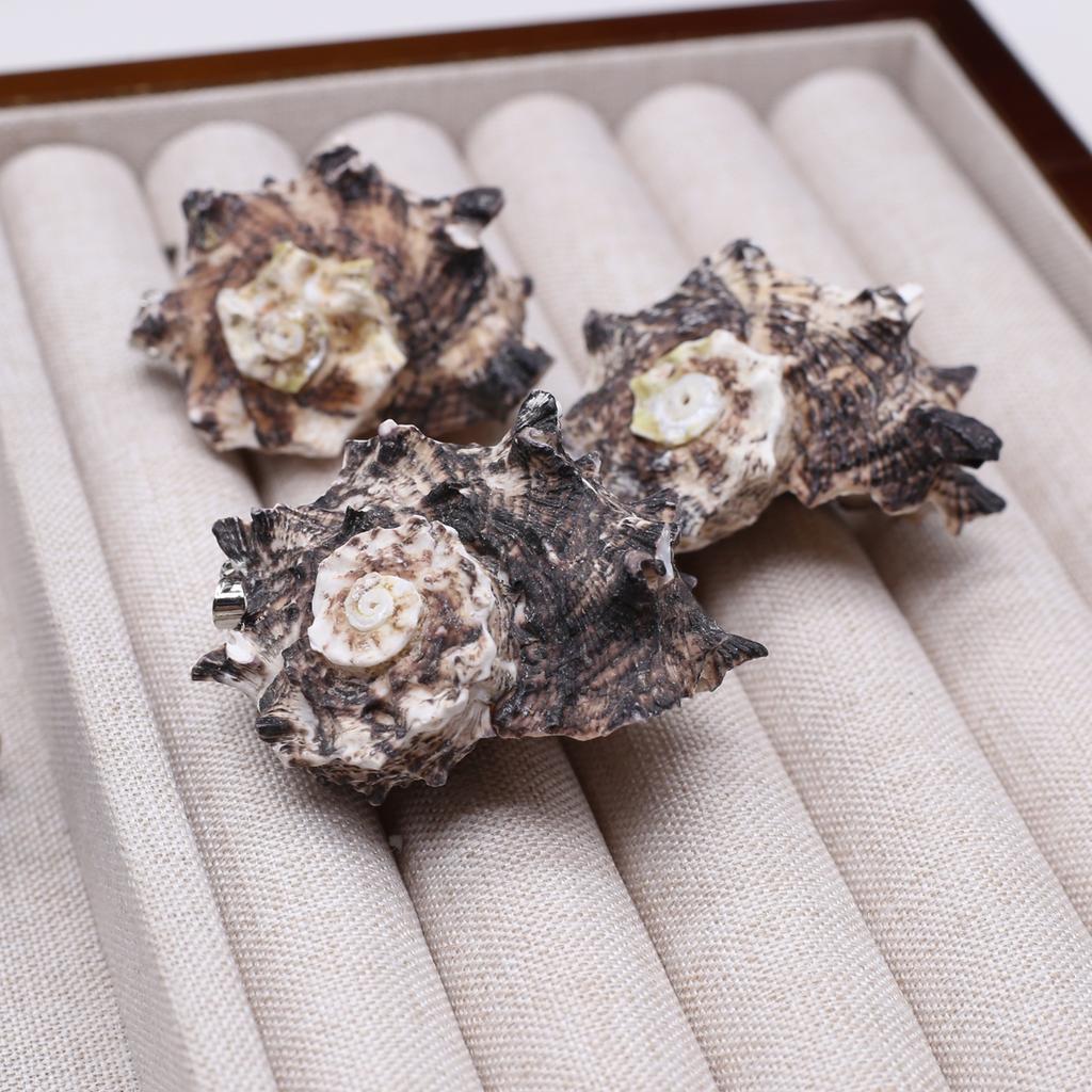 10Pcs Black Conch Pendant Shell Necklace Pendant 20-40mm For Jewelry Making DIY Necklace Bracelet Earrings Accessory