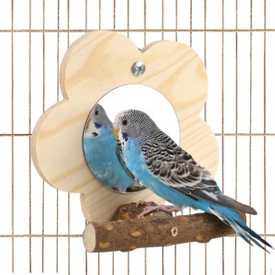 Juguetes con espejo para loros, jaulas colgantes, perchas de madera para pájaros, soporte de madera natural, accesorios para periquitos