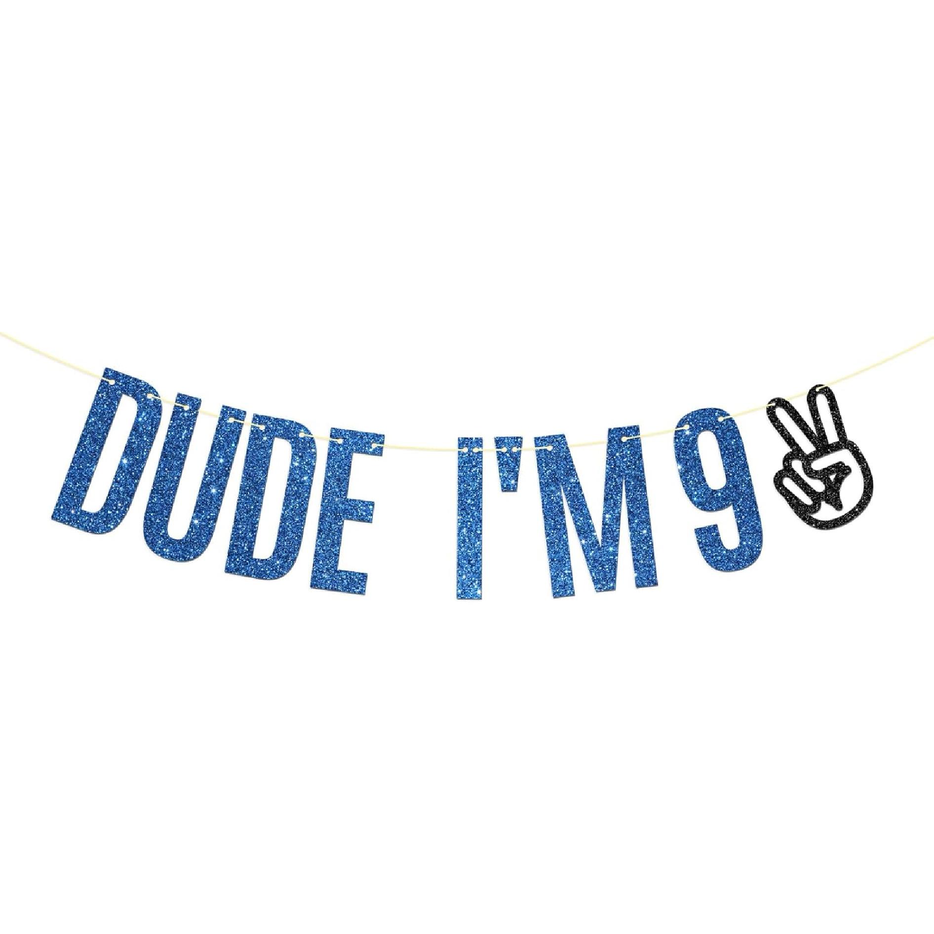 Dill-Dall Dude I m 9 Birthday Banner, Level 9 Unlocked, 9 Year Old Hanging Sign, Kid Boys Happy 9th Birthday Party Decorations Supplies